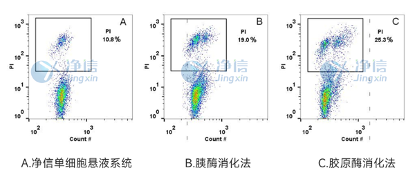染色檢測(cè)細(xì)胞活性.png