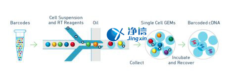 中國人自己的微流控單細胞測序儀來了！_微流控Drop-seq,微流控技術